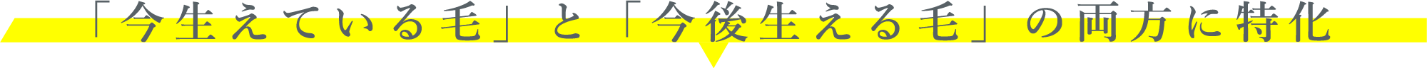 「今生えている毛」と「今後生える毛」の両方に特化